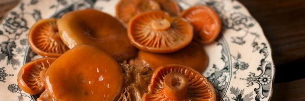 Грибы соленые