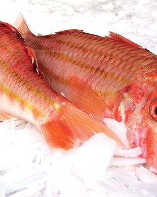 Кефаль соленая