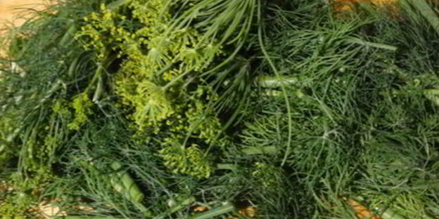 хрустящие малосольные огурчики