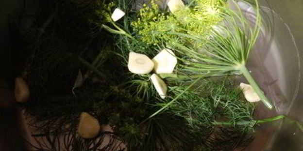 хрустящие малосольные огурчики