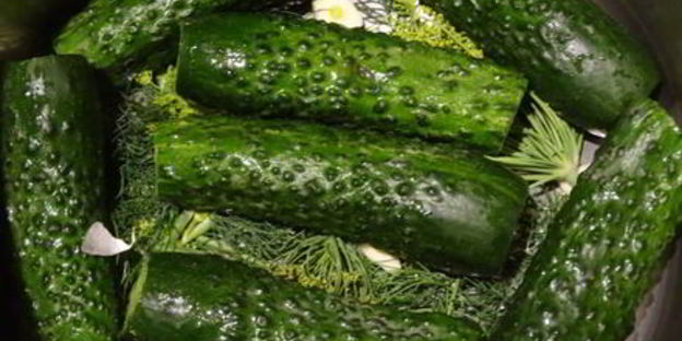 хрустящие малосольные огурчики