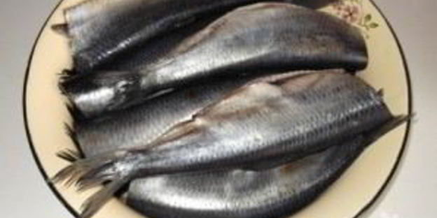 малосольная сельдь