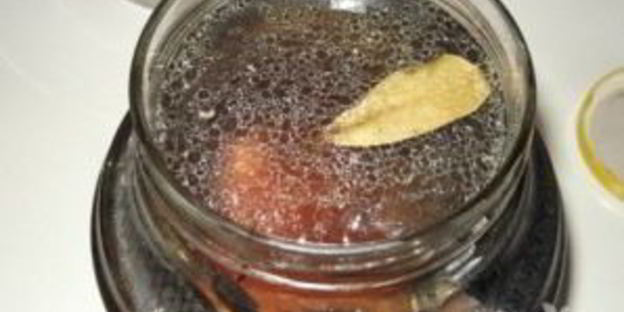 малосольная сельдь