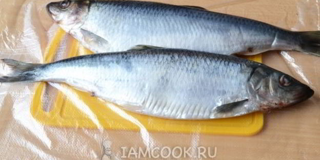 малосольная селедка для праздника