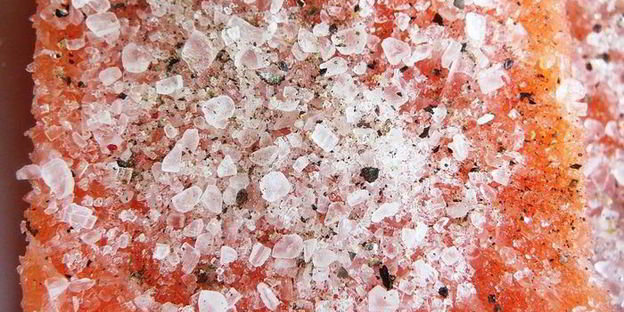 малосольная семга