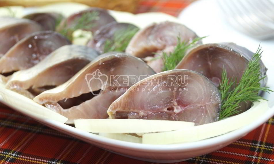 Рецепт малосольной скумбрии