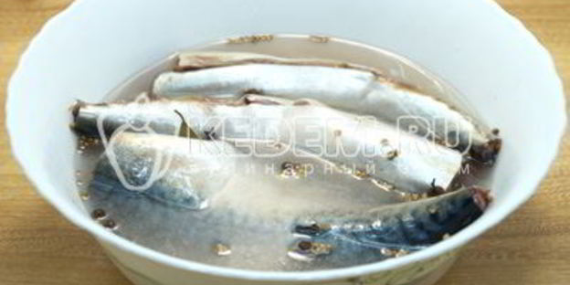 малосольная скумбрия