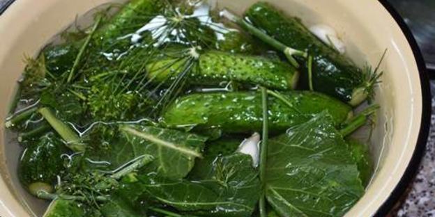 малосольные хрустящие огурчики