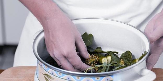 малосольные огурчики с хреном