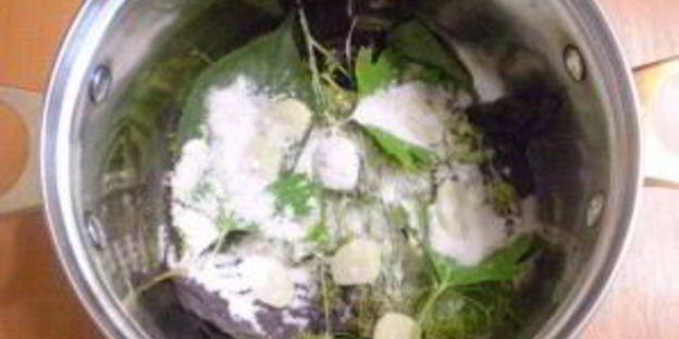 малосольные огурчики в кастрюле