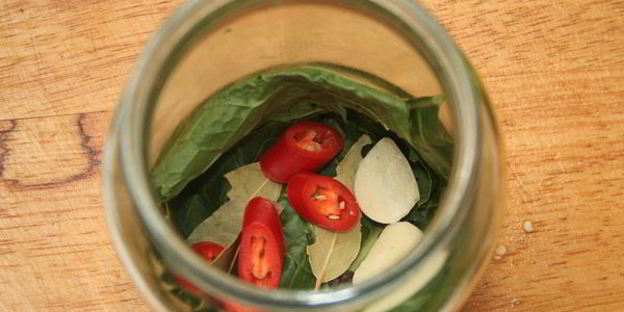 малосольные огурцы горячего засола