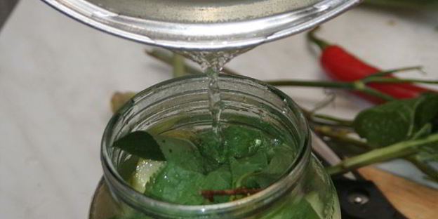 малосольные огурцы горячего засола