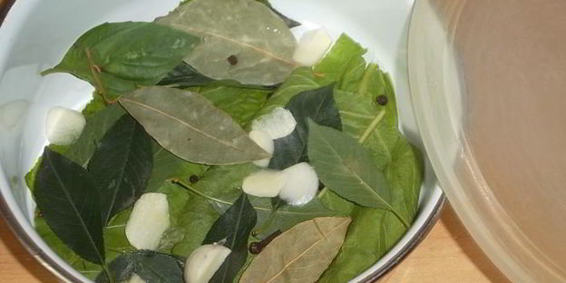 малосольные огурцы к обеду