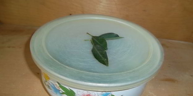 малосольные огурцы к обеду