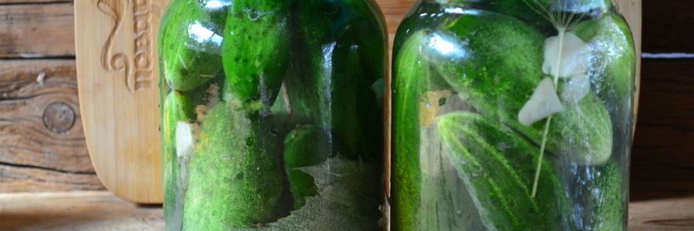 Малосольные огурцы хрустящие