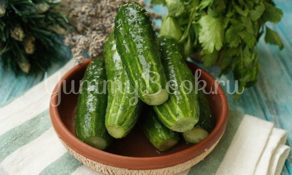 Рецепт малосольных огурцов на минеральной воде