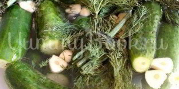 малосольные огурцы на минеральной воде