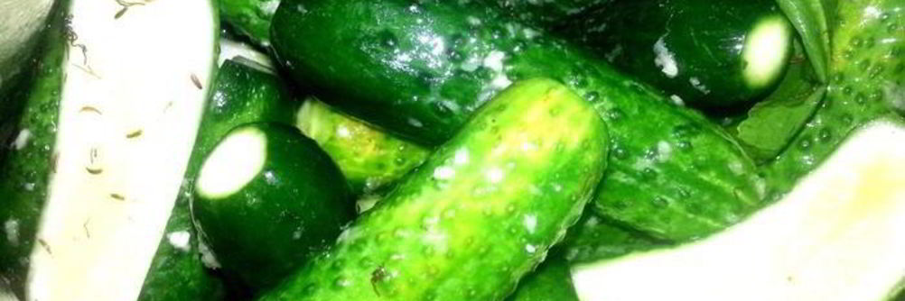 Малосольные огурцы всухую