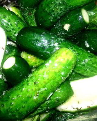 Малосольные огурцы всухую