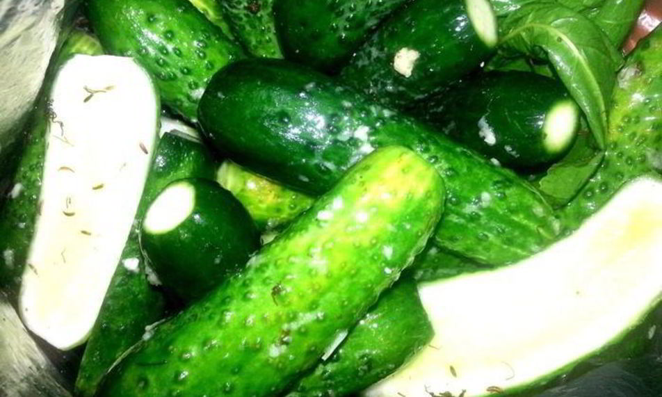 Рецепт малосольных огурцов всухую