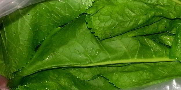 малосольные огурцы всухую