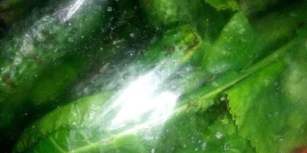 малосольные огурцы всухую