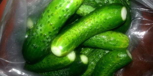 малосольные огурцы всухую