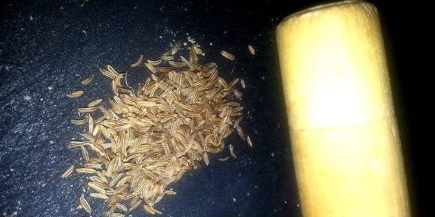 малосольные огурцы всухую