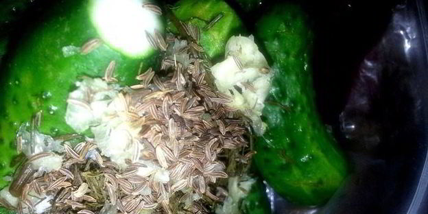 малосольные огурцы всухую