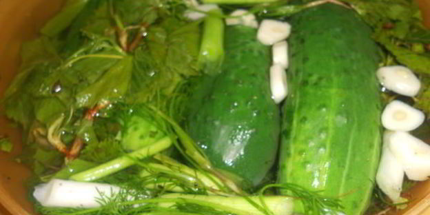 малосольные огурцы