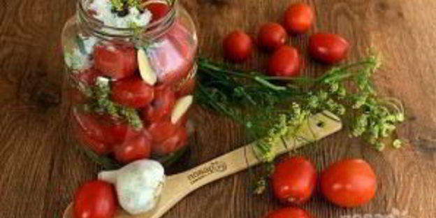 малосольные помидоры классические