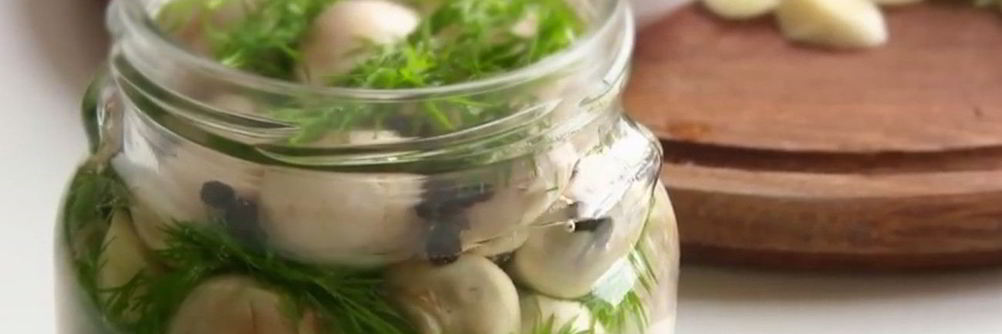 Малосольные шампиньоны