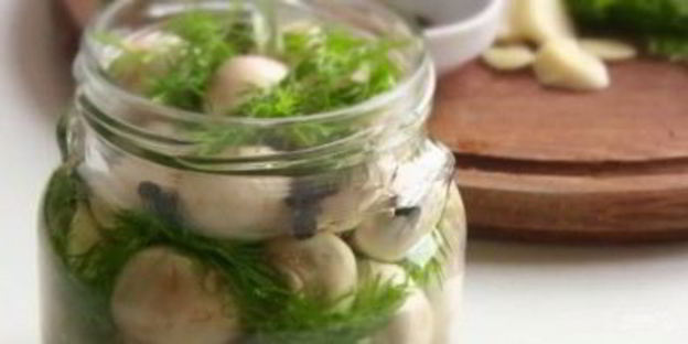 малосольные шампиньоны