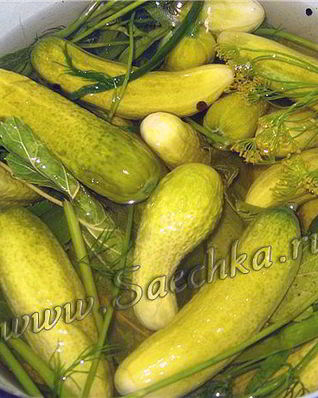 Огурцы малосольные