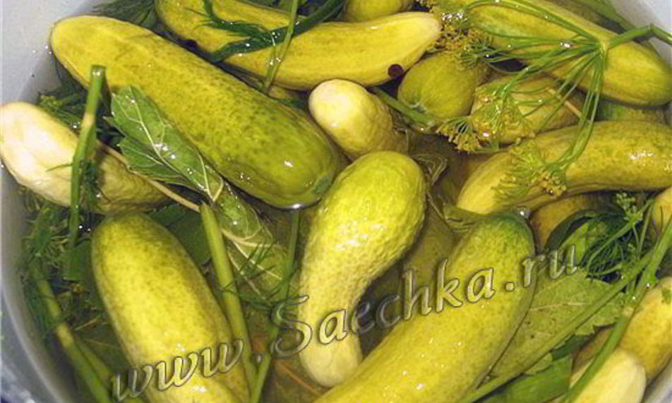 Рецепт огурцов малосольных