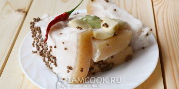сало в рассоле в банке