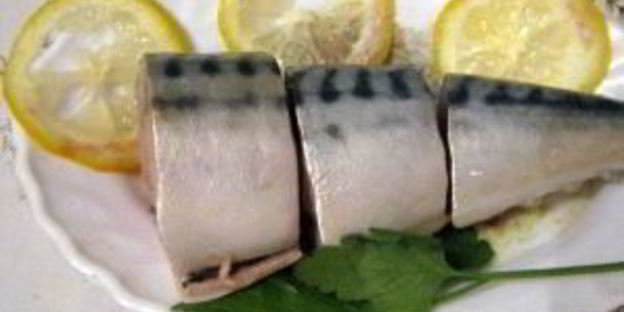 скумбрия домашняя малосольная