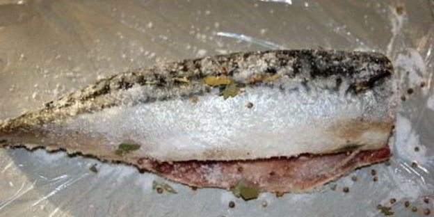 соленая скумбрия сухого посола