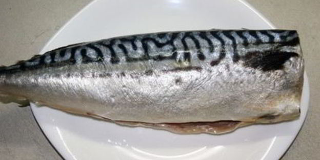 соленая скумбрия сухого посола