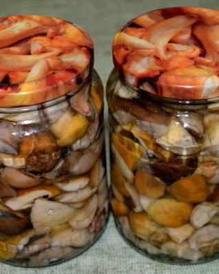 Соленые белые грибы