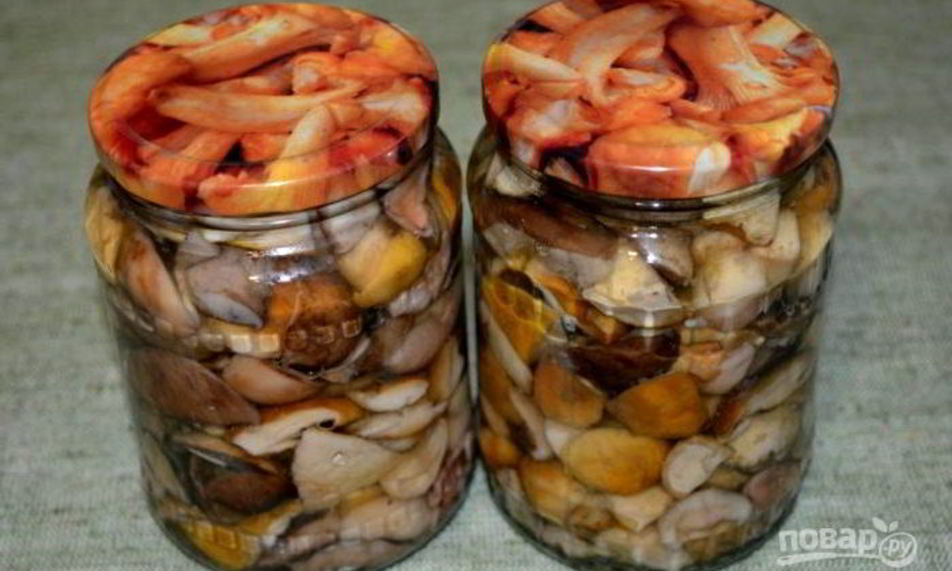 Рецепт соленых белых грибов