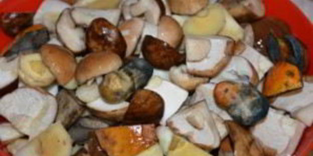 соленые белые грибы