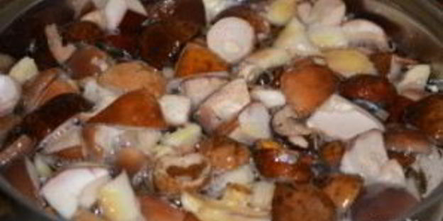 соленые белые грибы