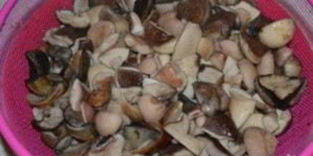 соленые белые грибы