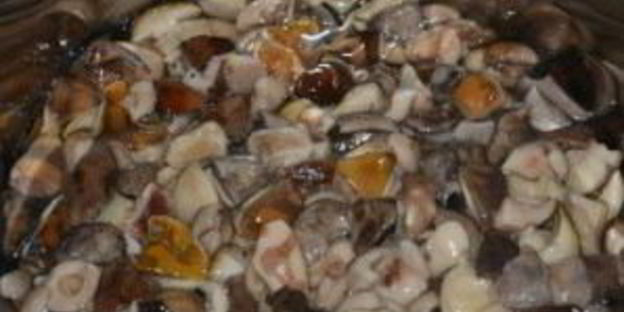 соленые белые грибы