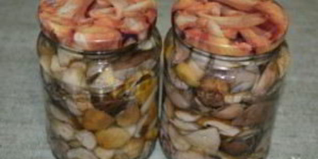 соленые белые грибы