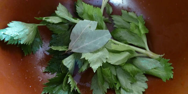 соленые помидоры черри