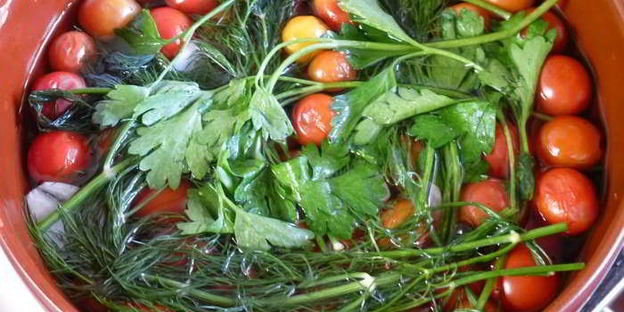 соленые помидоры черри