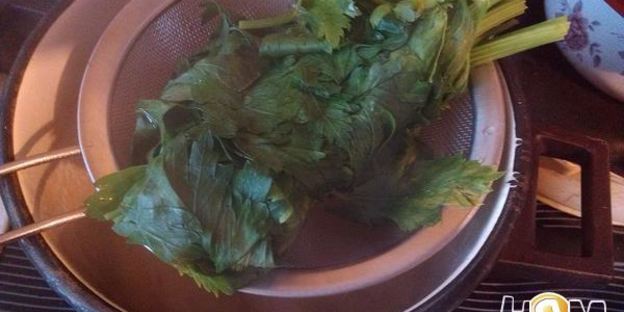 соленые зеленые помидоры по-грузински