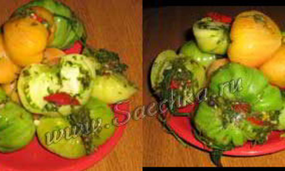 Рецепт соленых зеленых помидоров